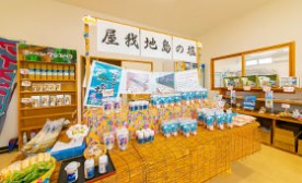 株式会社沖縄ベルク｜沖縄・屋我地島の食品加工・原料販売・卸売